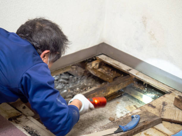 Best Mold Testing  in Random Lake, WI
