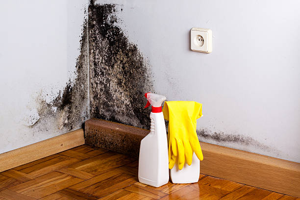 Water Damage Restoration in Random Lake, WI